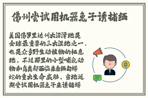 精品久久久久久亚洲国产18